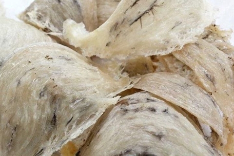 Yến thô là gì? Giá yến thô 1 lạng khoảng bao nhiêu tiền?