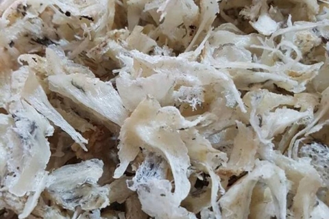 Chân yến là gì? Chân yến có tác dụng gì?