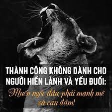 Thành công không dành cho những người hiền lành và yếu đuối