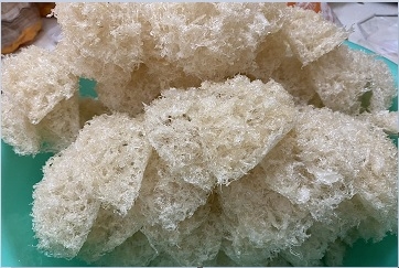 Yến xơ mướp là gì? Giá rẻ có chất lượng không?