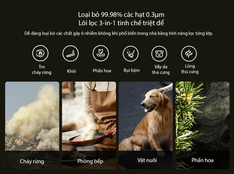 Máy lọc không khí Xiaomi Elite Air Purifier - Diện tích 125m2