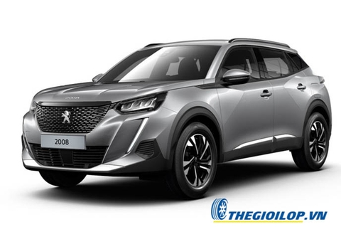 Ắc quy Peugeot 2008