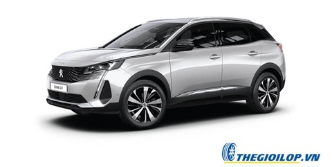 Ắc quy Peugeot 3008