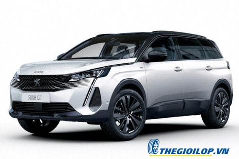 Ắc quy Peugeot 5008