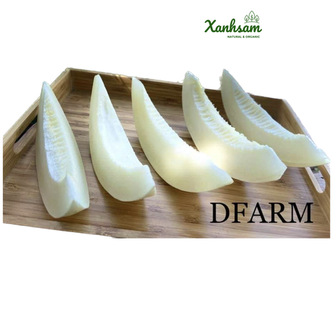 DƯA LÊ BẠCH NGỌC HƯỚNG HỮU CƠ - DFarm - Gia Lâm