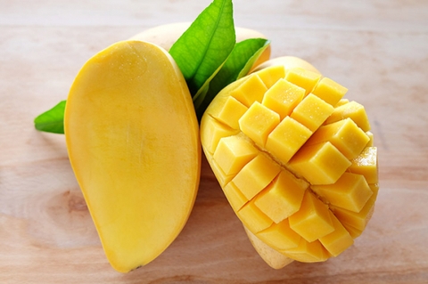 KỸ THUẬT TRỒNG VÀ CHĂM SÓC CÂY XOÀI
