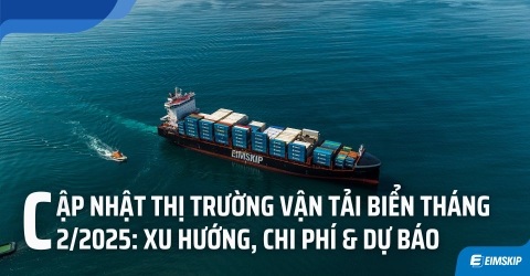 Cập Nhật Thị Trường Vận Tải Biển Tháng 2/2025: Xu Hướng, Chi Phí & Dự Báo
