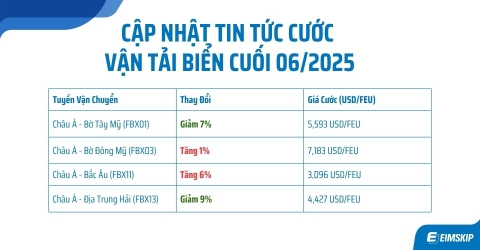 Cập Nhật Cước Vận Tải Biển Cuối Tháng 6/2025 – Xu Hướng Và Diễn Biến Mới Nhất