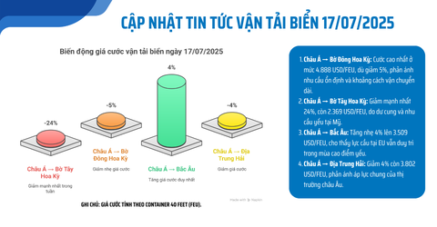 Tin tức vận tải biển tuần qua (16/07/2025): Cước vận tải biển giảm sâu