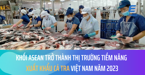 Asean thị trường tiềm năng để xuất khẩu cá tra