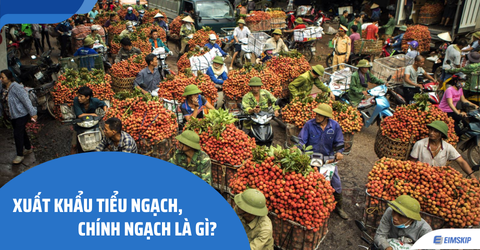 Xuất khẩu tiểu ngạch, chính ngạch là gì? Rủi ro tiềm ẩn của tiểu ngạch cần biết