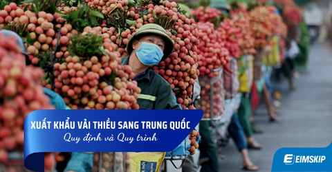 Xuất khẩu vải thiều sang Trung Quốc: Quy định và Quy trình