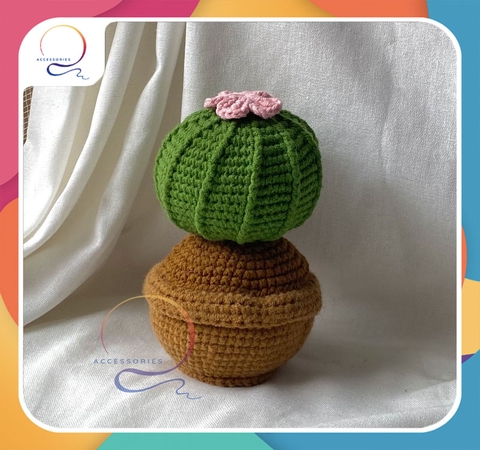 CACTUS ROUND SUCCULENT-pink