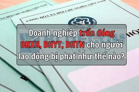 Doanh nghiệp trốn đóng BHXH, BHYT, BHTN cho người lao động bị phạt như thế nào?