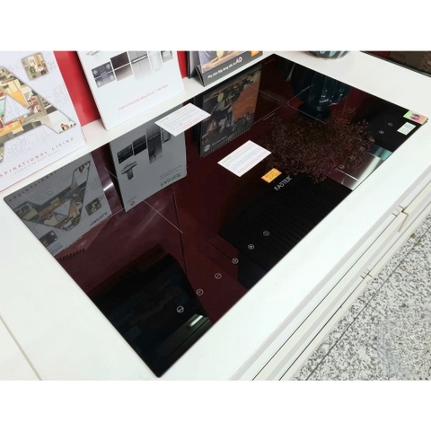 Bếp từ đôi Faster FS 788i - 788H