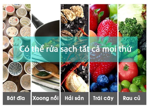 Máy rửa bát Công nghiệp Siêu Âm Texgio TGU 800SS