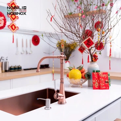 Vòi rửa bát NoBiNox CHARLIE NB255C