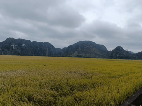 lovely  Ninh Binh Day Tour.