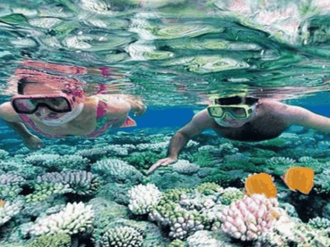 Snorkeling in Nha Trang