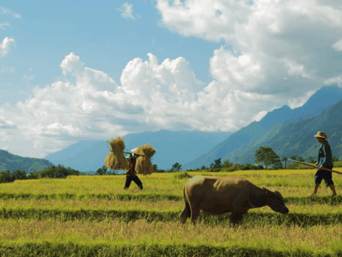 - Where should you go when traveling to Sapa