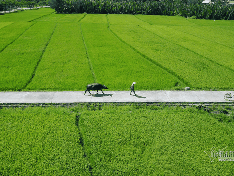 Hoi an countryside day trip