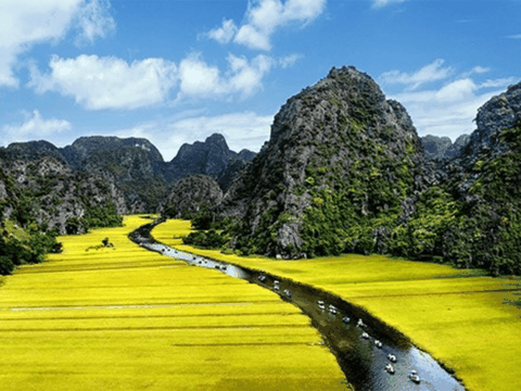 Best Hoa Lu - Hang Mua - Tam Coc  one day