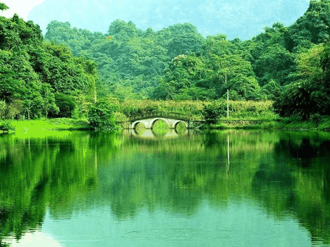 Cuc Phuong National Park