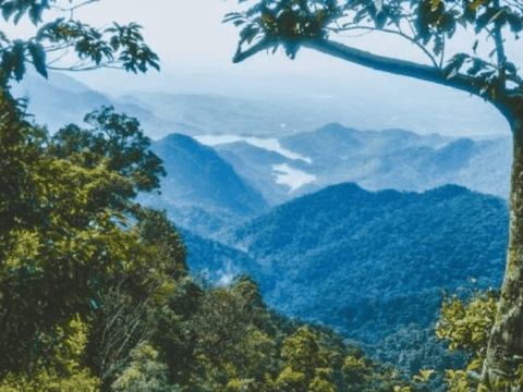 One day tour in Hue and Bach Ma