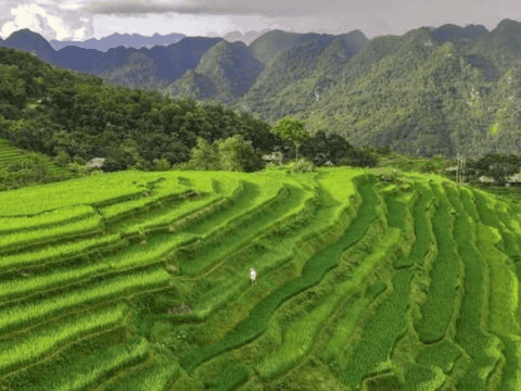 Pu Luong nature reserve