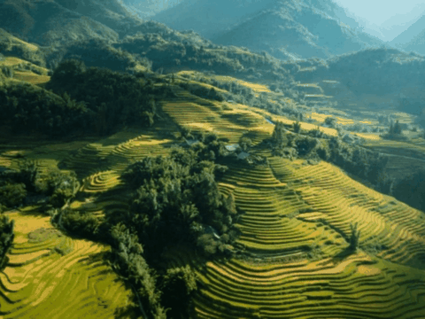 Sapa discovery tour