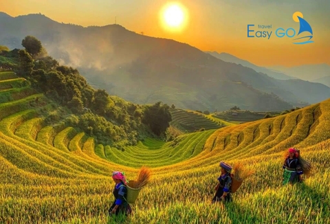 Tour Du Lịch Mù Cang Chải 3 Ngày 2 Đêm Mùa Lúa Chín Từ Hà Nội