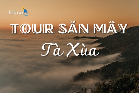 TOUR GHÉP SĂN MÂY TÀ XÙA 2 NGÀY 1 ĐÊM | HÀ NỘI - BẮC YÊN - TÀ XÙA