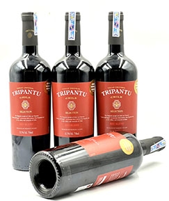 TRIPANTU SELECTION