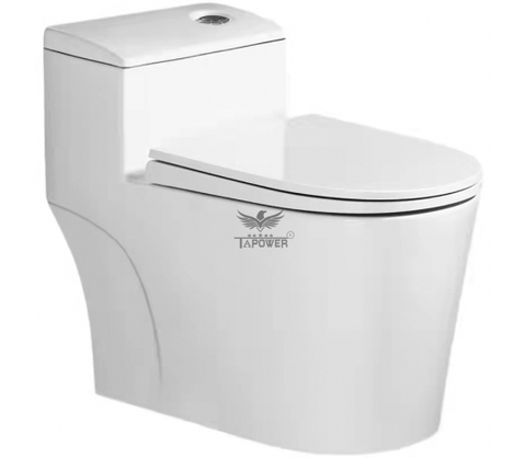 Bồn cầu 1 khối Tapower PW-821