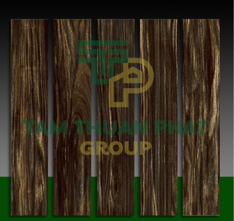 Gạch lát nền giả gỗ 15x80 : CT09 - GR15809