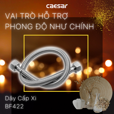 Dây cấp xi Caesar BF422