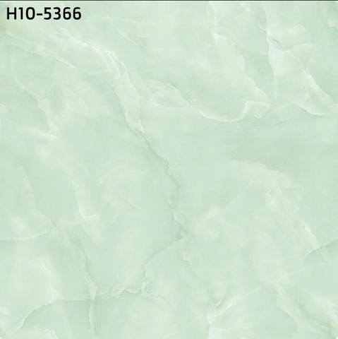 Gạch lát nền men bóng 50x50 : HCM10 - 5366
