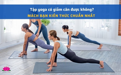 Tập Yoga có giảm cân được không? Mách bạn kiến thức chuẩn nhất