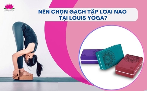 Tư vấn 24/7: Nên chọn gạch tập loại nào tại Louis Yoga?