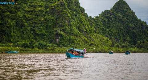 Tour Động Phong Nha - Sông Chày Hang Tối 1 ngày