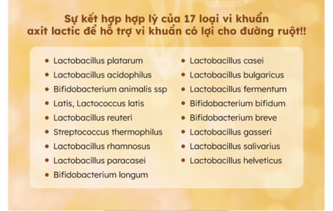 TPCN - Men tiêu hoá hãng dược Kolon pharm 60 gói 60gam (60ea)