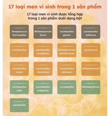 TPCN - Men tiêu hoá hãng dược Kolon pharm 60 gói 60gam (60ea)