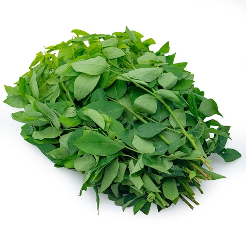 Rau ngót (500g),