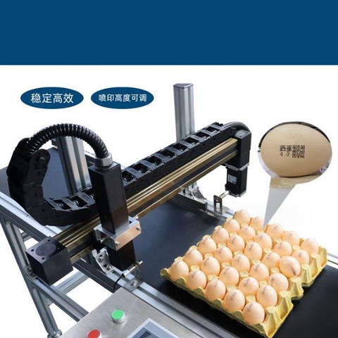 Máy in công nghiệp S1000 in trên trứng