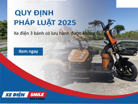 Xe điện 3 bánh có được lưu hành không? Quy định pháp luật 2025