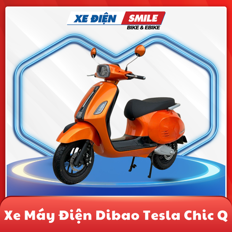 XE MÁY ĐIỆN DIBAO TESLA CHIC Q