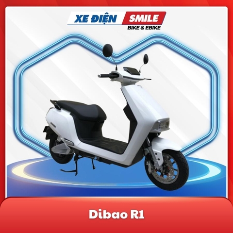 Dibao R1