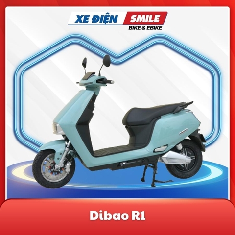 Dibao R1