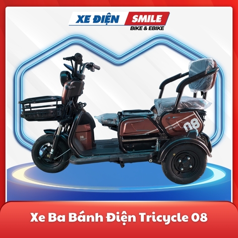 Xe điện ba bánh tricycle 08 màu nâu đất, xe điện ba bánh cho người lớn tuổi