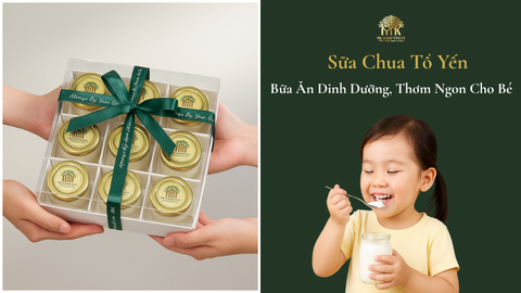 Sữa Chua Tổ Yến - Bữa Ăn Dinh Dưỡng, Thơm Ngon Cho Bé
